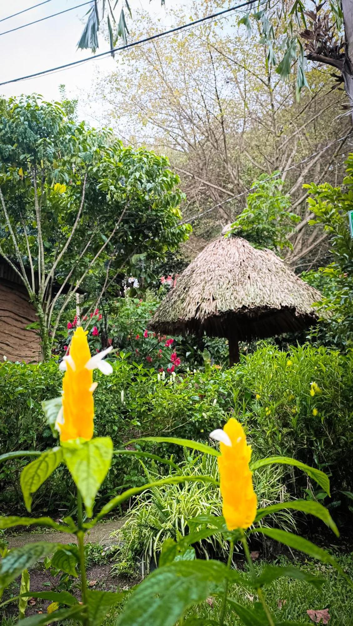 Eco-Hotel Mayachik San Juan La Laguna Eksteriør bilde
