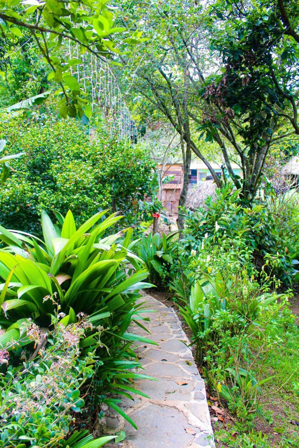 Eco-Hotel Mayachik San Juan La Laguna Eksteriør bilde